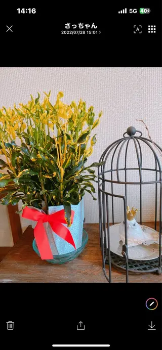 ビューティサロンサランブル所属・Sarang Buluのエステ・リラクイメージ