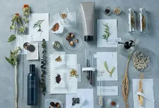 ミディアム エムズハウス所属・野末 美穂のヘアスタイル