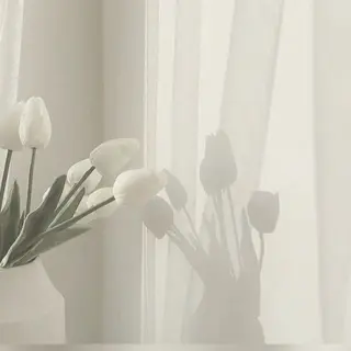 アイブロウ elua京都駅前店所属・elua🫧 京都駅前店のマツエク・マツパデザイン