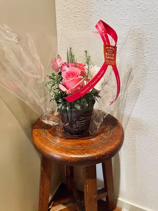 eyelash salon  mani所属・アイラッシュサロン maniのマツエク・マツパデザイン