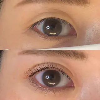 マツエク・マツパ CAMELLIA カメリアのマツエク・マツパデザイン