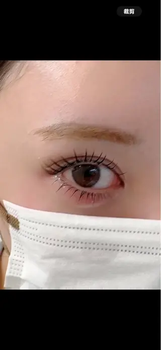 マツエク・マツパ フジワラ アオイのマツエク・マツパデザイン