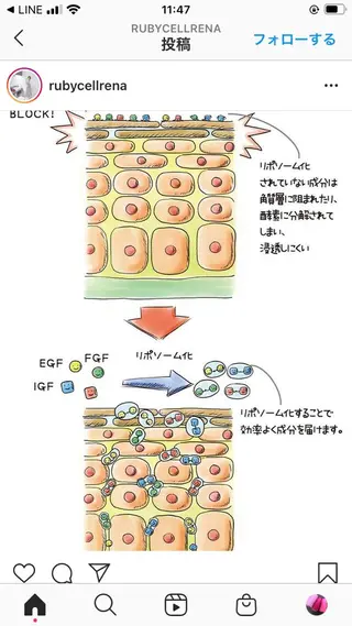 産毛専門店 Bittoのエステ・リラクイメージ