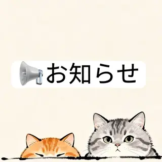 ネイル Alisa nail Rinのネイルデザイン