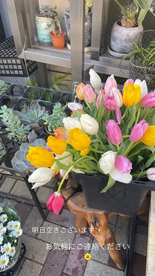 ミディアム パーマ メンズ atelier doux dimanche（アトリエ・ドゥー・ディマンシュ）所属・Fukamiレイヤー 透明感カラーのヘアスタイル