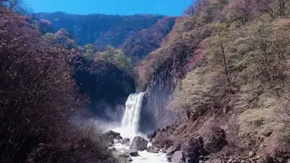 田中 実咲のヘアスタイル