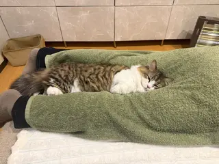 美容鍼・リラクゼーションサロン 晴々所属・清水 茜音のエステ・リラクイメージ