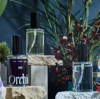 ロング カラー 韓国ヘア/ブリーチ無 しWカラー/オリーブのヘアスタイル