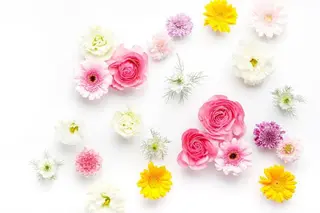 🌸 Sakura JAMの眉毛・アイブロウイメージ