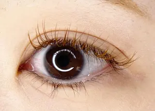 マツエク・マツパ Ai Quick 北千住🌿saitoの眉毛・アイブロウイメージ