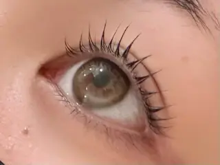 マツエク・マツパ koa【  コア⠀】所属・Koa🦋ma ho🦋のその他イメージ