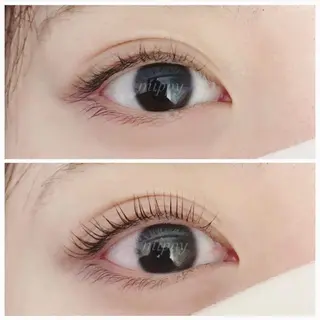 マツエク・マツパ ｍｉｐｐｙ 🪽のマツエク・マツパデザイン