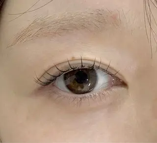 マツエク・マツパ Holus Moriguchiのマツエク・マツパデザイン