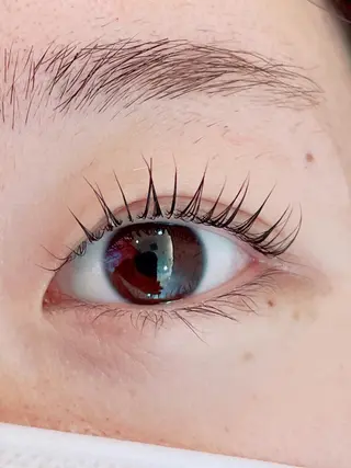 マツエク・マツパ MIMI RUSH 塚本の眉毛・アイブロウイメージ