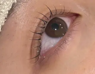 マツエク・マツパ JurerEye☆ Oguraのマツエク・マツパデザイン