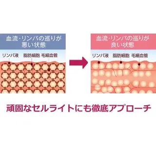 Ema salon satomiのネイルデザイン