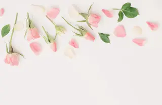 🌸 Sakura JAMのマツエク・マツパデザイン