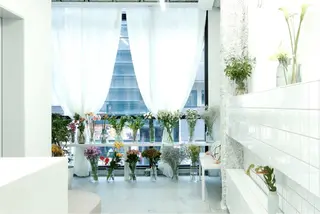 Asumi/伏見 /ブリーチ/花屋併設のヘアスタイル