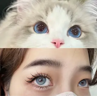 マツエク・マツパ Aranasalon 池袋店のマツエク・マツパデザイン