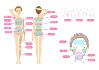 松下 佳織の眉毛・アイブロウイメージ