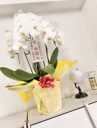 パーソナルカラー診断 ボニットBoknitのその他イメージ