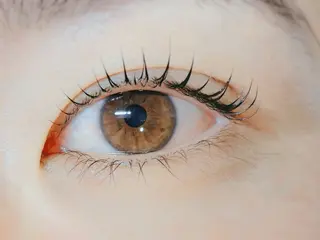 マツエク・マツパ Melia Chieのマツエク・マツパデザイン