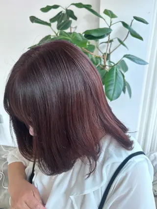 ミディアム カラー 🐩🎀ness / ルリ🔮🍓のヘアスタイル