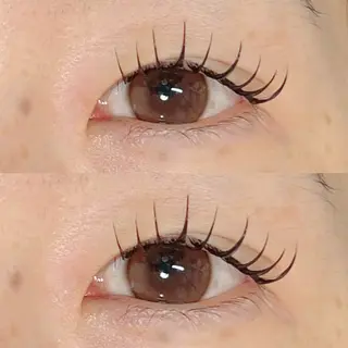 ใใใจใฏใปใใใ ๐๐ผ๐๐๐ ๐๐ธ๐โใฎใใใจใฏใปใใใใใถใคใณ