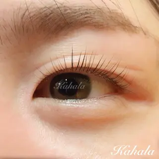 マツエク・マツパ Fujimoto 🦭⸝⋆꙳のマツエク・マツパデザイン