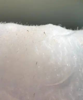 mof.(モフ) Horieのその他イメージ