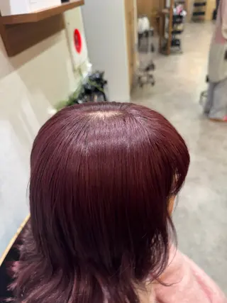 セミロング カラー 縮毛矯正/艶髪カラー /パーマ/ひふみ🌱のヘアスタイル