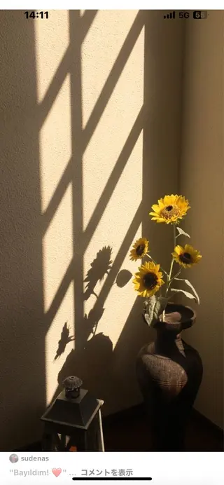 Mana ·͜·ᰔᩚのマツエク・マツパデザイン