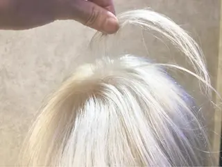 ショート カラー 顔周りレイヤー/韓国 ブリーチminamiのヘアスタイル