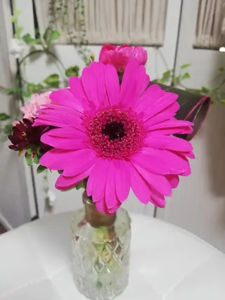 angelux 所属・完全個室サロン🌹 angelux🌹のマツエク・マツパデザイン