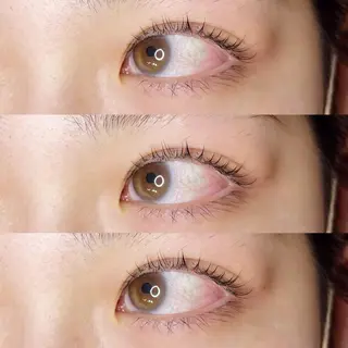 マツエク・マツパ 《eyelash ｉｉｔｅ》森のマツエク・マツパデザイン