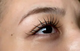 マツエク・マツパ PLUME🕊 yuunaのマツエク・マツパデザイン