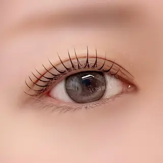 マツエク・マツパ 【一重┊︎奥二重】 YOSHIDA🌙のマツエク・マツパデザイン