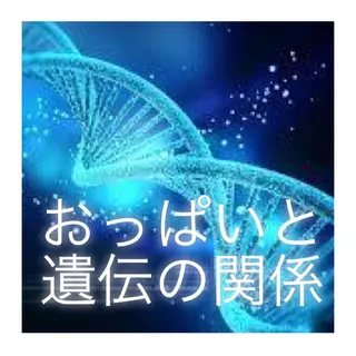バストアップ専門 おっぱい先生いそのその他イメージ