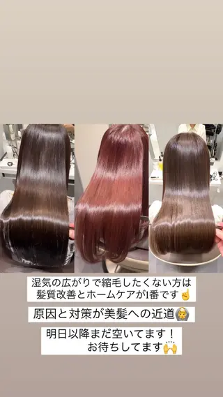 セミロング カラー SALOWIN新宿三丁目【サロウィン】所属・レイヤー🔶髪質改善 🔶透明感カラー青木のヘアスタイル