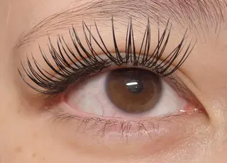 マツエク・マツパ princess 森 碧海のマツエク・マツパデザイン