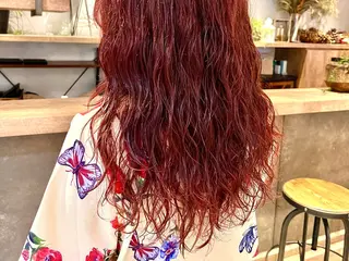 セミロング December/ jingumae所属・【カットモデル募集】 yuzuのヘアスタイル