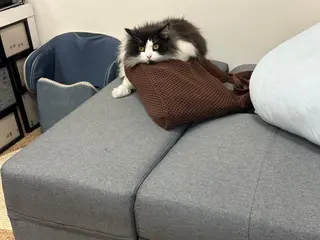 ネイル Eveネイル チップスカルプ専門店のネイルデザイン