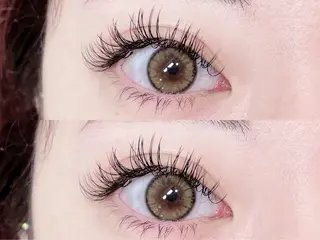 マツエク・マツパ 🎀Lino 中目黒 TAKAMI🐈のマツエク・マツパデザイン