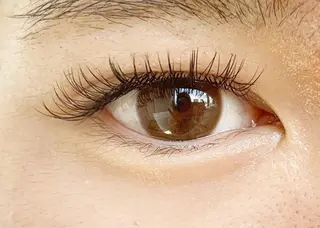 マツエク・マツパ 佐藤 詩織のマツエク・マツパデザイン