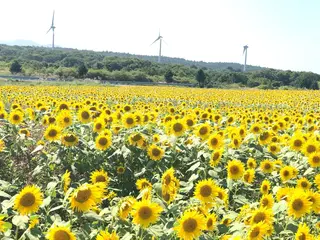 ミディアム カラー 下條 真のヘアスタイル