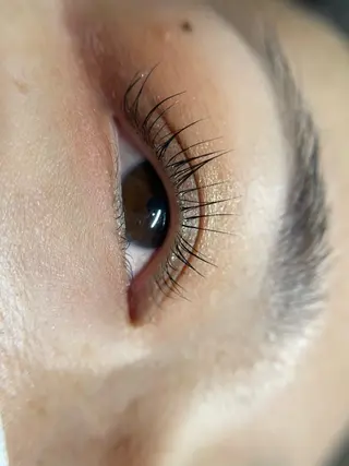 マツエク・マツパ Fino Chibaのマツエク・マツパデザイン