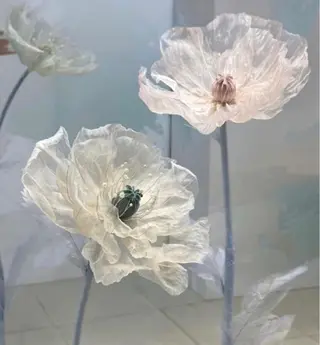 マツエク・マツパ eyelist 𝐧𝐚𝐨のマツエク・マツパデザイン