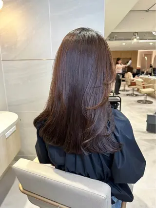 セミロング 韓国風/小顔レイヤー /艶カラーのヘアスタイル