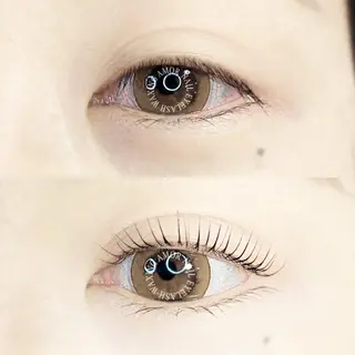 マツエク・マツパ Amor所属・AMOR EYELASHのマツエク・マツパデザイン