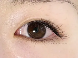 マツエク・マツパ Plume micoのマツエク・マツパデザイン